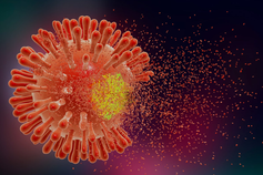 Health Aging Research Fund